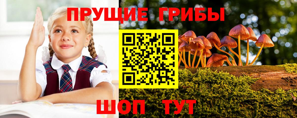 Галлюциногенные грибы мицелий Железногорск