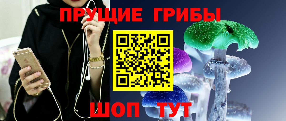 Железногорск  магазин  наркотиков  Вход с VPN  Галлюциногенные грибы Magic Shrooms  Галлюциногенные грибы Psilocybine cubensis 