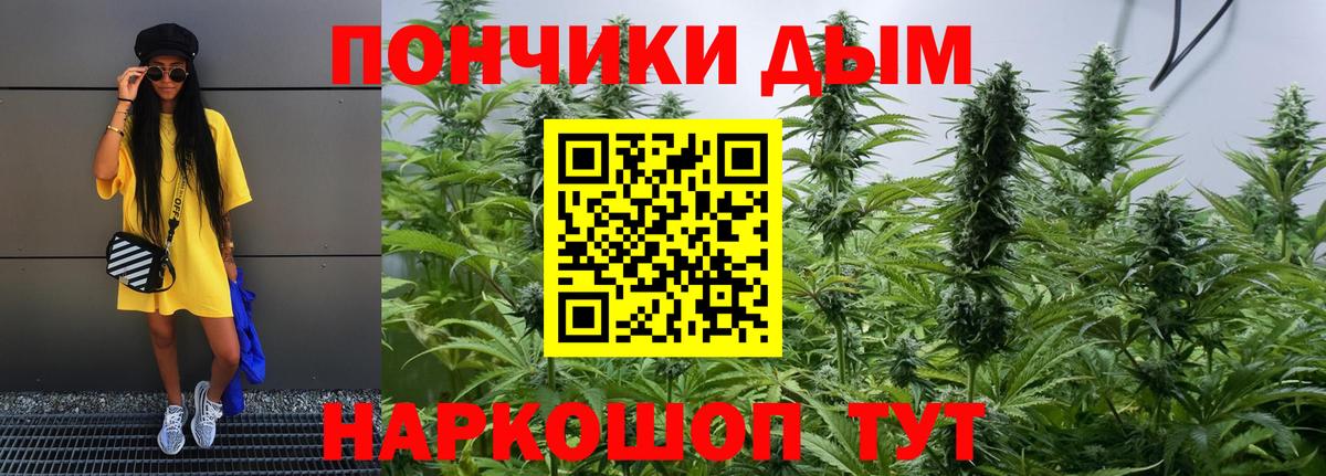 Каннабис семена Железногорск